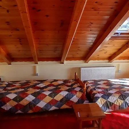 δροσοσταλια Some Of Attic アラコバ